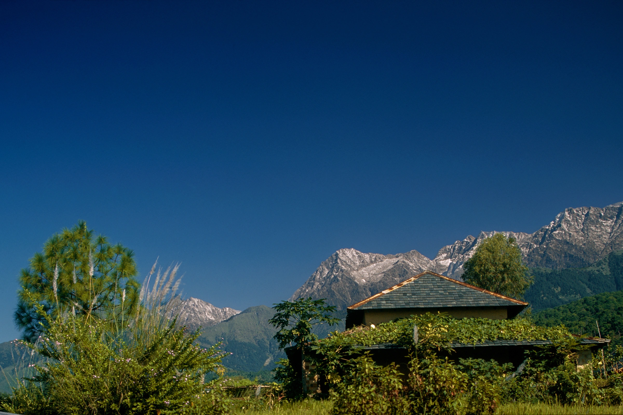 Palampur[1].webp